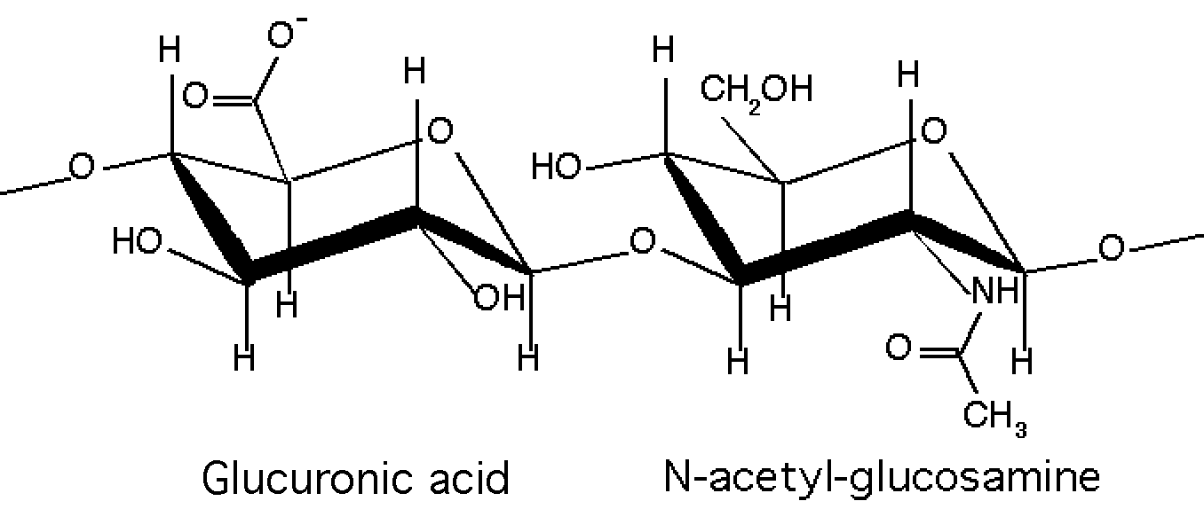 molecule acide hyaluronique chimie cosmétique